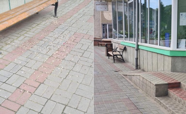 A apărut o nouă formă de brădeni, foarte puțini cei drept dar extrem de nesimțiți: „Gibonii sămânțari”!