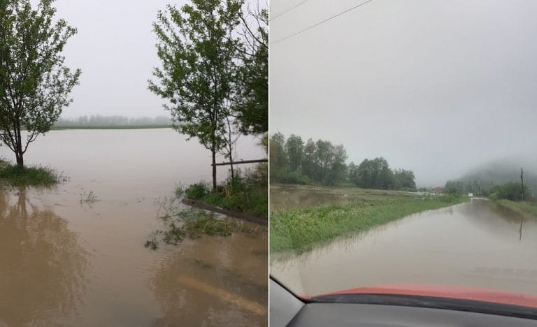 (FOTO & VIDEO) Crișul Alb a inundat Baia de Criș! Pericol de INUNDAȚII în zona Vața de Jos – Gurahonț!