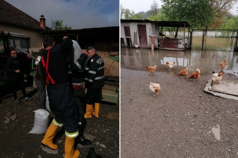 (FOTO) Crișul Alb a făcut PRĂPĂDAT în Prihodiște, Vața de Jos! Terenuri și gospodării INUNDATE în: Tătărăști, Birtin, Brotuna, Ociu, Ocișor!