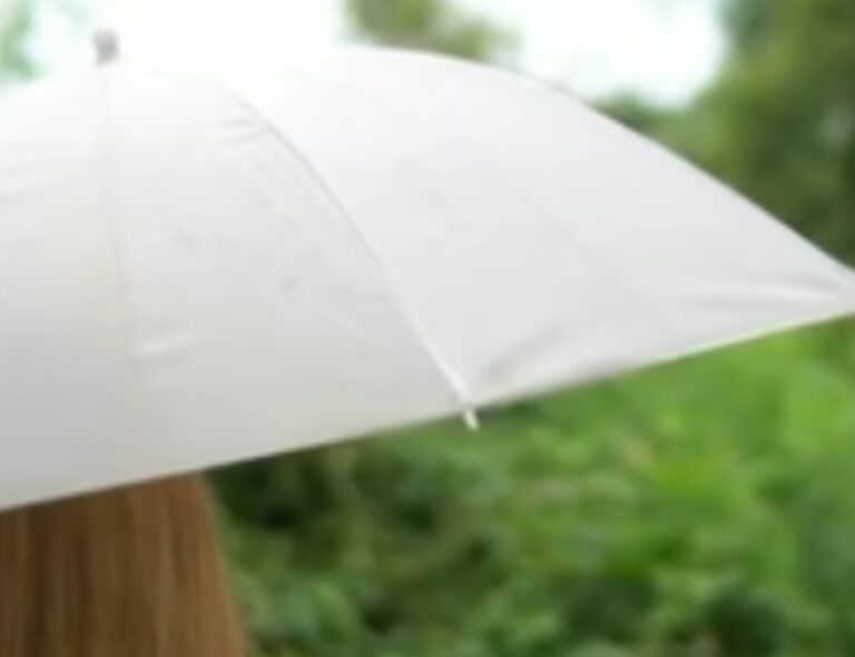 Ploi și instabilitate atmosferică în Munții Apuseni și Transilvania până miercuri dimineaţă!