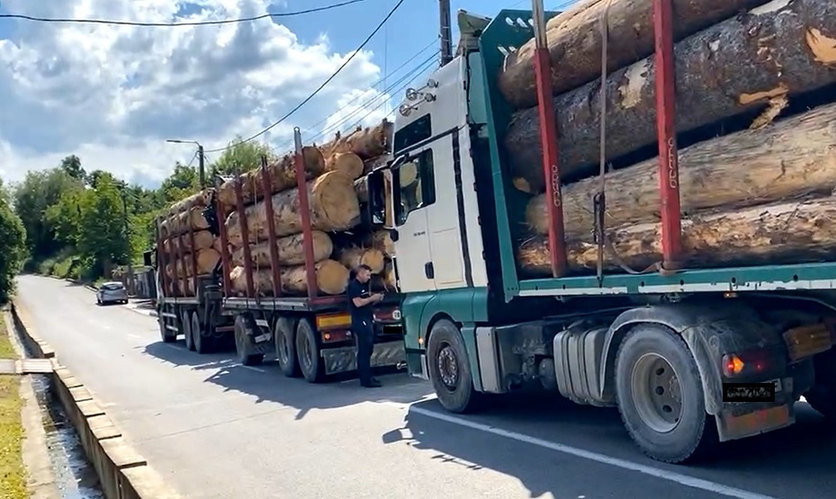 (VIDEO) Două camioane cu lemne ar fi fost ilegal încărcate, supratonaj: Au fost imobilizate în Gilău de către ISCTR!