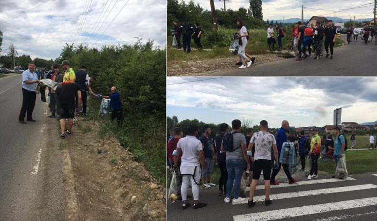 Elevii de la Liceul Unirea și Școala Gimnazială Miron Pompiliu s-au implicat în acțiuni de ecologizare în Ștei