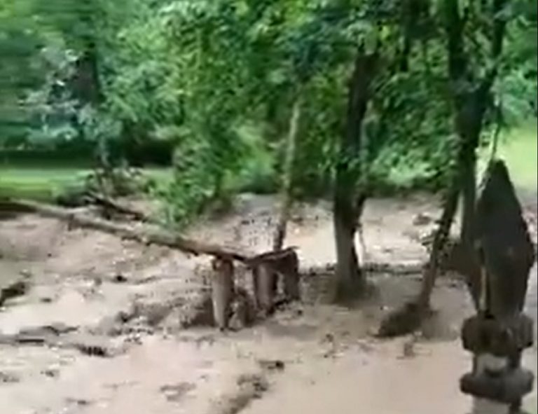 (VIDEO) Cum s-a produs viitura de pe râul Geaogiu? Imagini cu afluenții umflați de ape în zona Cheia!