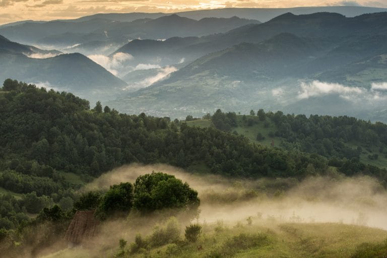CJSU Alba: Sălciua liberă de restricțiile anti-COVID-19!