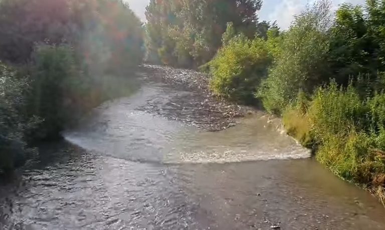 (VIDEO) O viitură, în numai câteva secunde, a umplut râul Geoagiu din Apuseni cu tone de gunoaie!