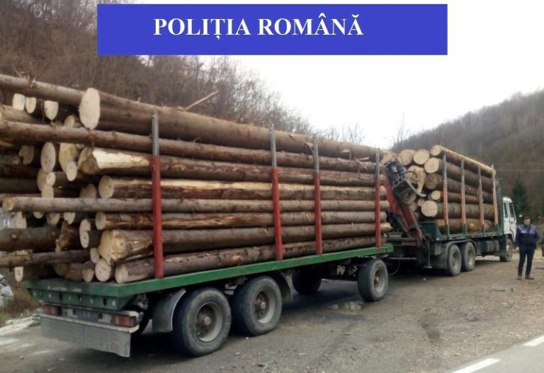 A plouat cu sancțiuni contravenționale și în zona Sebiș! Au fost verificate și 5 transporturi de material lemnos