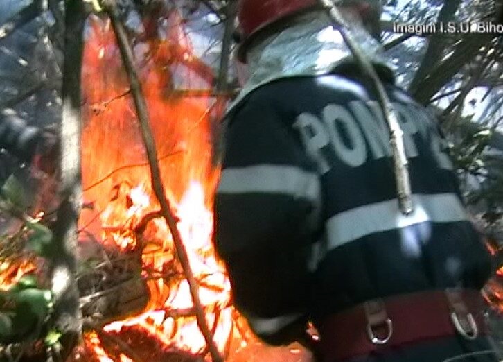 Pompierii și voluntarii din Alba, mobilizați pentru stingerea a două incendii de vegetație în Zlatna și Gârda de Sus
