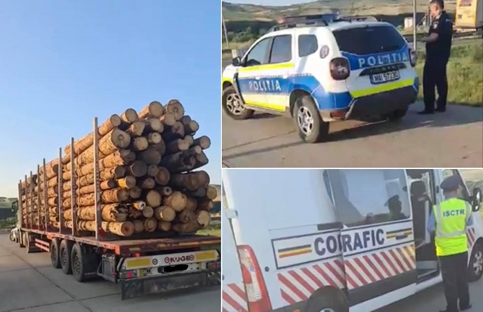 Camionul supraîncărcat cu lemne între Huedin și Gilău, depistat de activiști, joi, a fost confiscat: S-a deschis dosar penal pentru furt de masă lemnoasă!