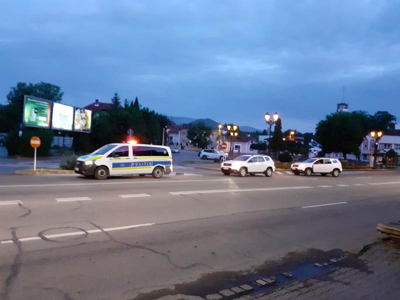 (VIDEO) 12 percheziții în Alba, Hunedoara și Sibiu, la persoane bănuite că ar fi sustras arbori din fondul forestier național