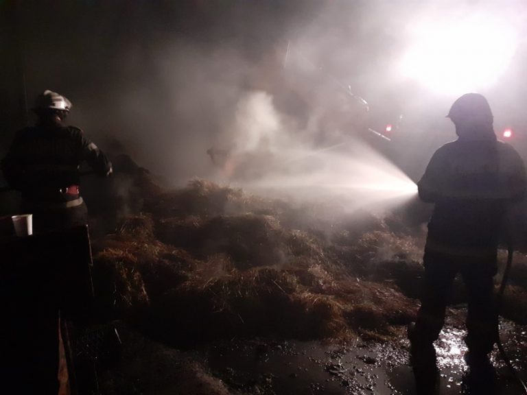 Incendiu violent la o gospodărie din Răbăgani: Doi bărbați au suferit arsuri la nivelul brațelor!