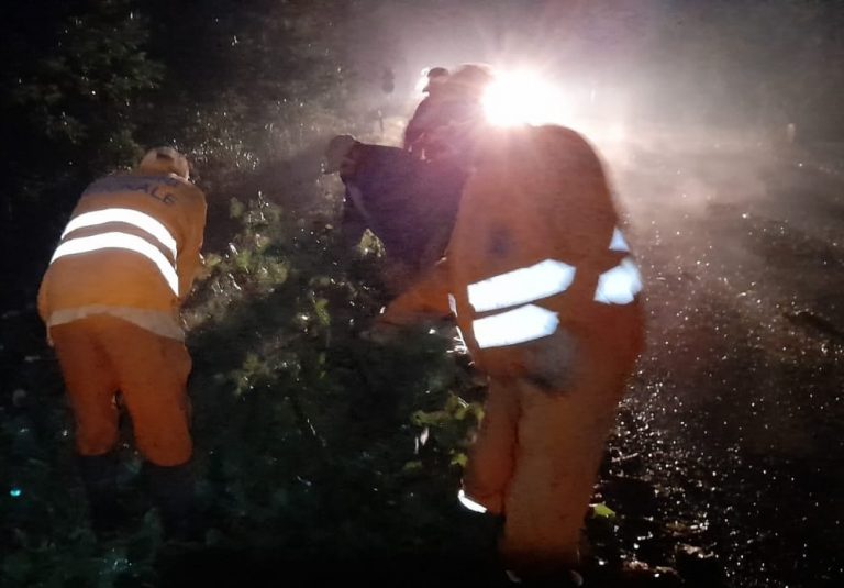 Drumarii și pompierii au intervenit pe DN74 Abrud – Câmpeni și pe DN75 pentru degajarea unor arbori de pe carosabil