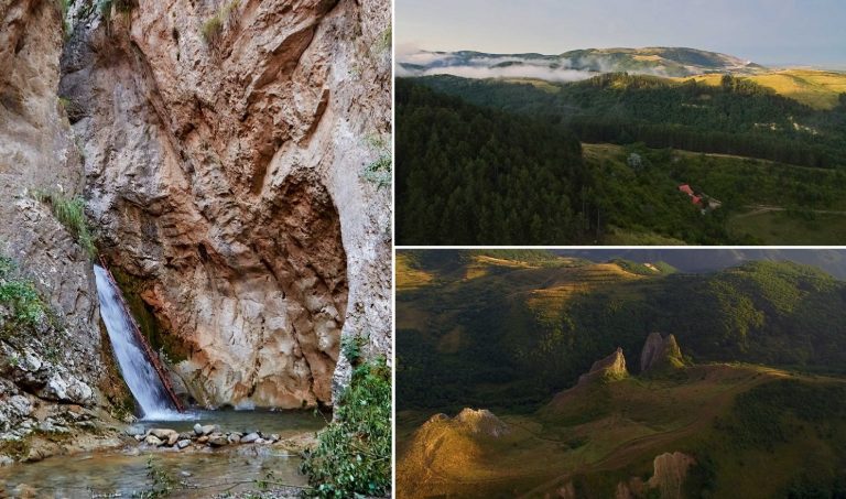 Tabără ecologică la Cabana Centrului de Tineret de la Cetea în 13-15 august