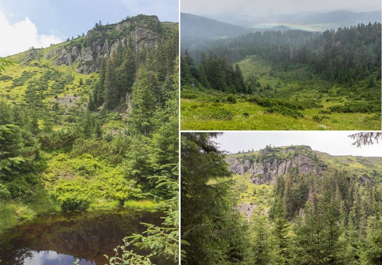 Coasta Brăiesei, panorama spectaculoasă a Padișului, în inima Munților Apuseni, un colț de natură sălbatică
