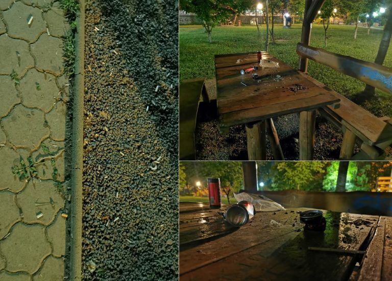 Cum își bat joc niște NESIMȚIȚI de Parcul Tineretului din Brad? Semințe, PET-uri și mucuri de țigară peste tot!