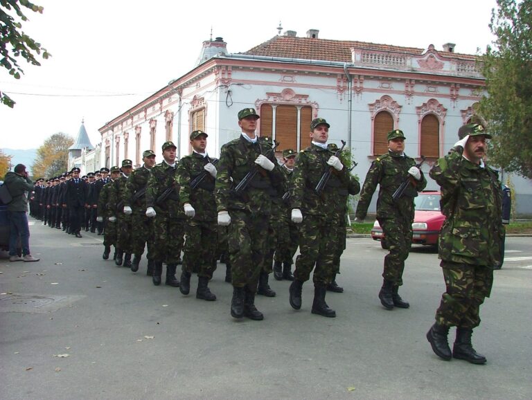 Unitatea Militară 01343 Beiuş  a scos la concurs un loc de muncă