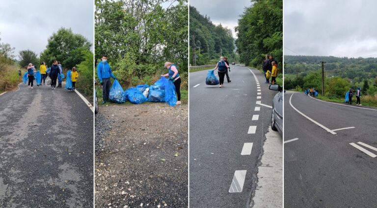 Acțiune de ecologizare pe principalele căi de acces din satele Vălișoara și Săliștioara