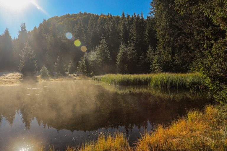 Peisaje de vis cu pădurile Parcului Natural Apuseni în „haine” de toamnă