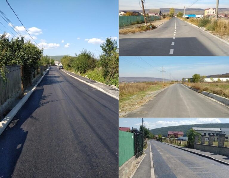 Gelu Topan: Am recepționat lucrările de asfaltare pe cele două drumuri de acces către fermele 7 și 8