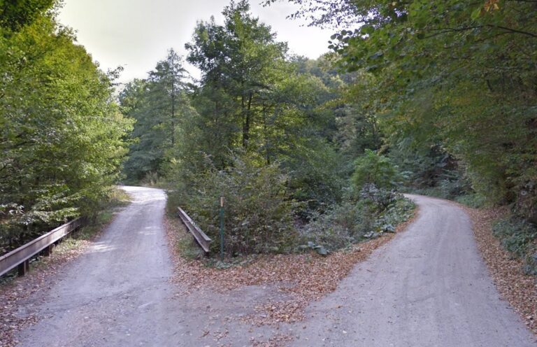 Lucrările la drumul forestier de la Moneasa spre Bihor, din Apuseni, sunt blocate de birocrația de la București