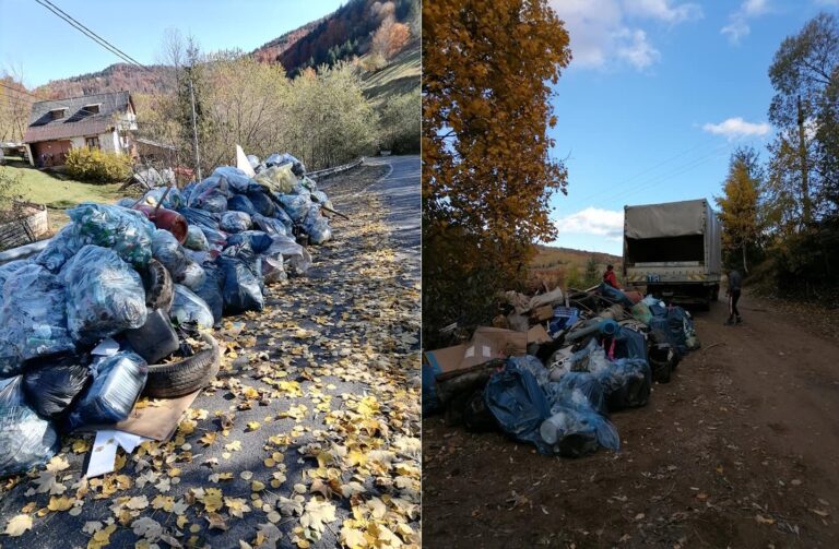 Zeci de voluntari s-au implicat într-o acțiune de ecologizare la poalele Vlădesei, zona Mărgău-Beliș
