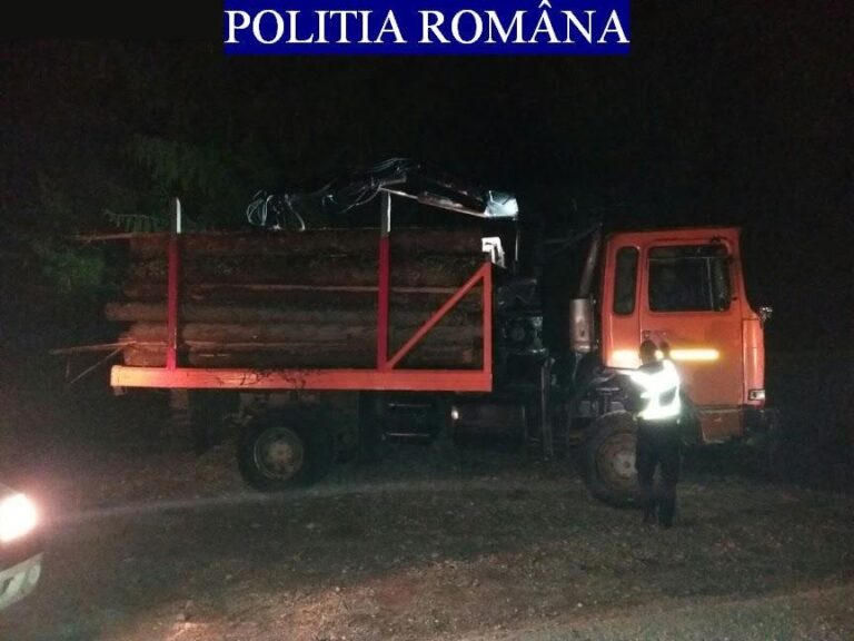 (VIDEO) Cum se „transportă” lemnul „noaptea ca hoții” în Apuseni, comuna Horea, sat  Pătrușești