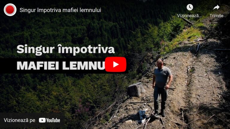 (VIDEO) Recorder: Singur împotriva mafiei lemnului
