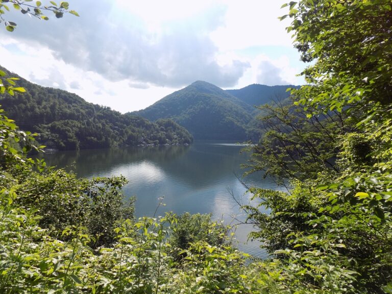 Traseele turistice din Făget și zona Tarnița au fost omologate