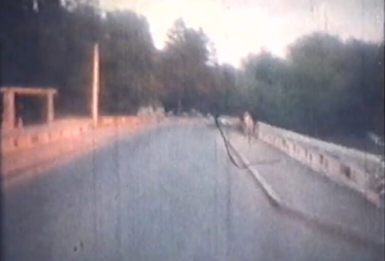 VIDEO din 1985: Cu autobuzul din Brad în Gura Barza!