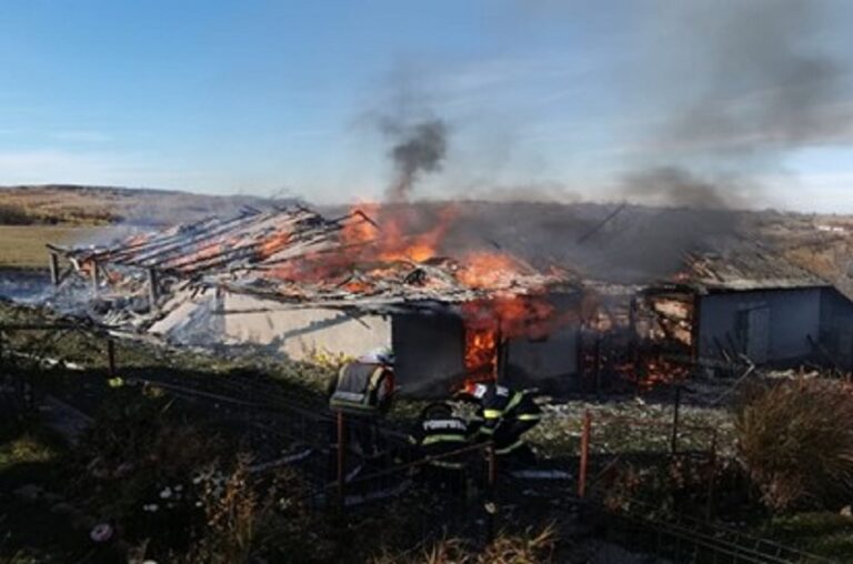 Pompierii din Aleșd au stins un incendiu în Valea Târnei, comuna Șinteu