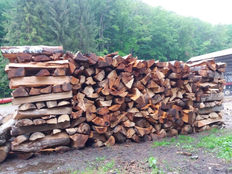 Preţ aproape dublu faţă de anul trecut la lemnele de foc în Munții Apuseni