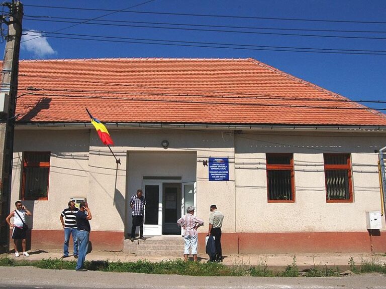 Primăria din Săvădisla a scos la concurs două locuri de muncă
