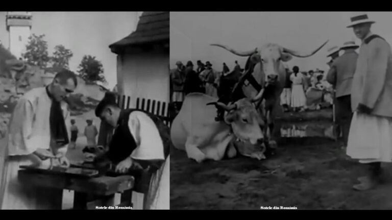 VIDEO din anii 30` cu țăranii din zona Huedinului: Erau maeștrii ai meșteșugului lemnului