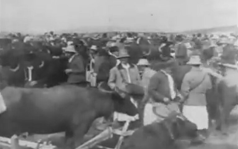 VIDEO rar, din 1936: Târg de toamnă în Ţara Călatei