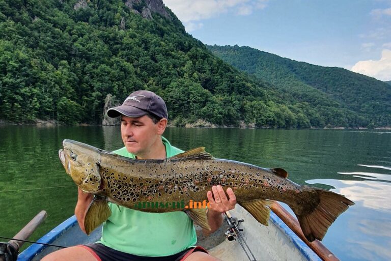 Din 9 aprilie pescuitul în scop comercial este interzis ! STOP: recreativ/sportiv al oricăror specii de peşti, crustacee, moluşte şi alte vieţuitoate acvatice vii în habitatele piscicole naturale