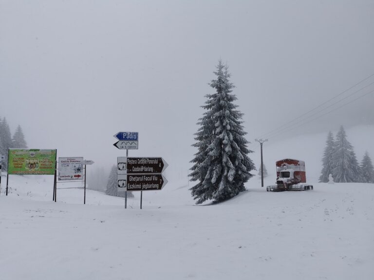 (VIDEO & FOTO) La Vârtop și în Padiș, zăpada este din nou crăiasă