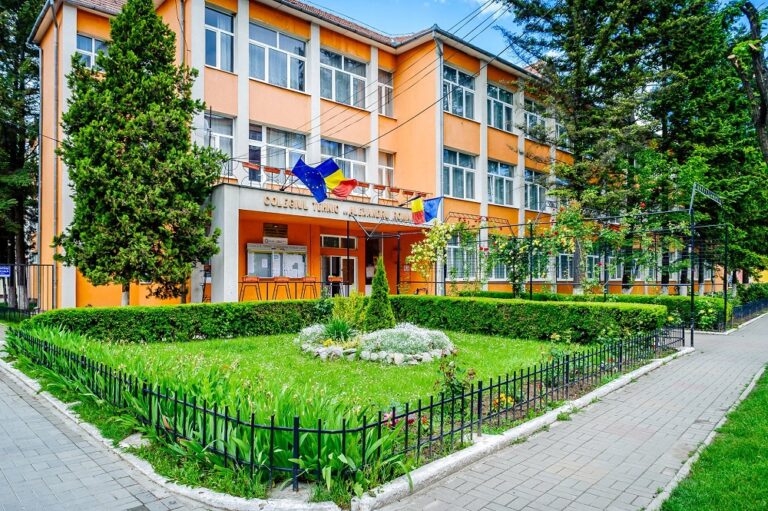 Colegiul Tehnic „Alexandru Roman” din Aleşd a scos la concurs un loc de muncă