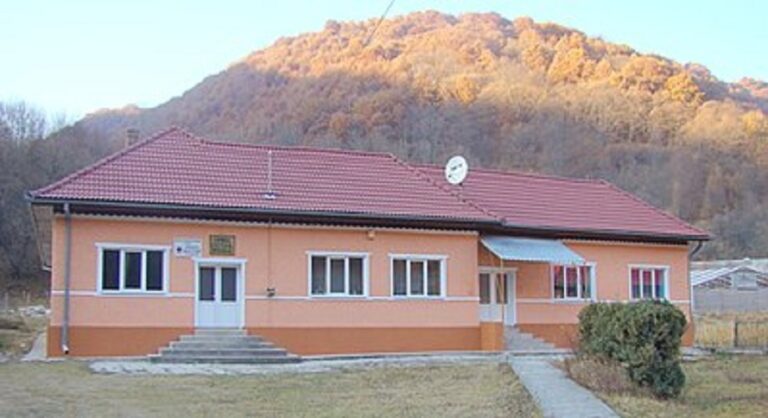 Primăria din Întregalde a scos la concurs un loc de muncă