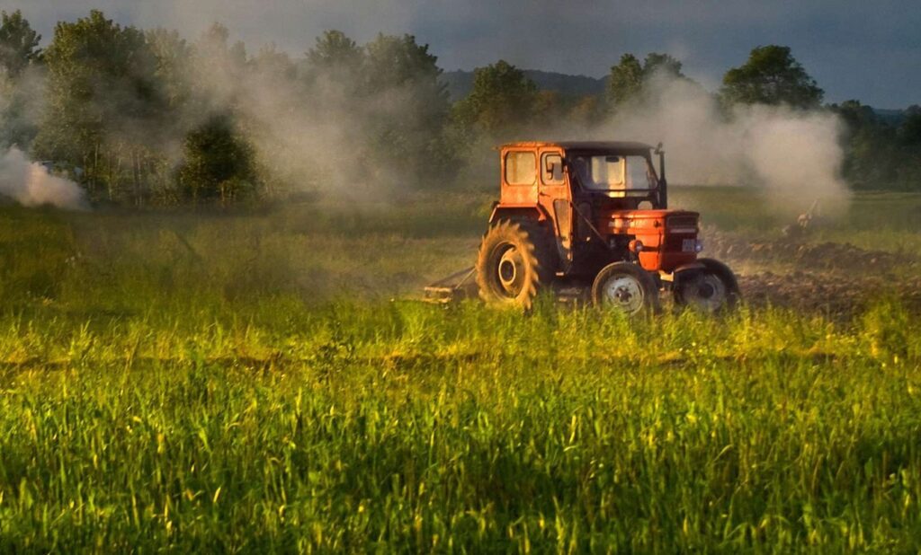 ZF: Peste 15.000 de companii noi cu activităţi în agricultură, silvicultură şi pescuit au fost înființate în 2021!