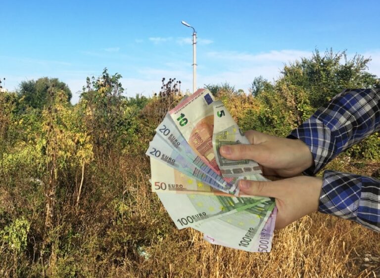 APIA Bihor cu ochii pe terenurile neîngrijite de pe marginea DN1 (Oradea – Aleșd) și DN76 (Oradea – Beiuș)
