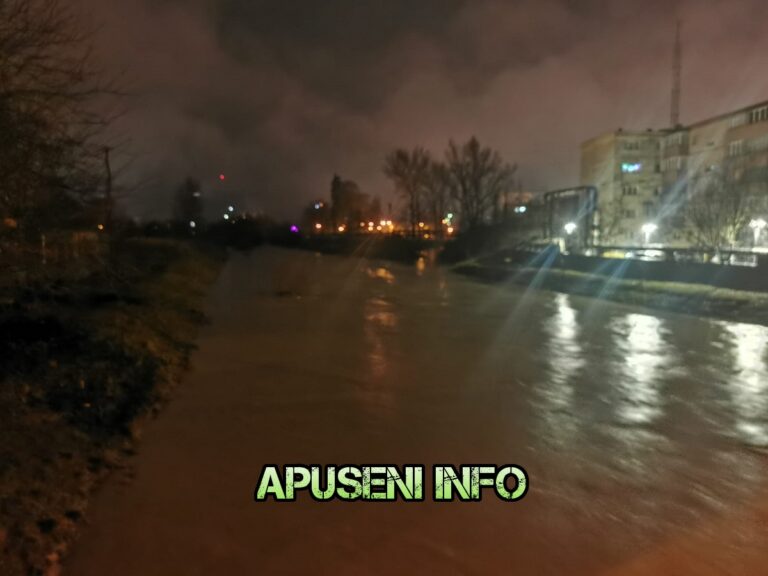 (VIDEO) Crișul Alb în Brad, ora 23.30! Debitul este foarte mare!