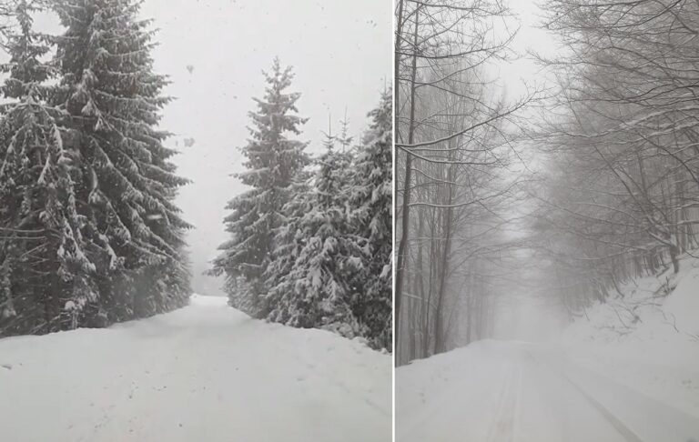(VIDEO) Ninge ca-n povești spre Stâna de Vale