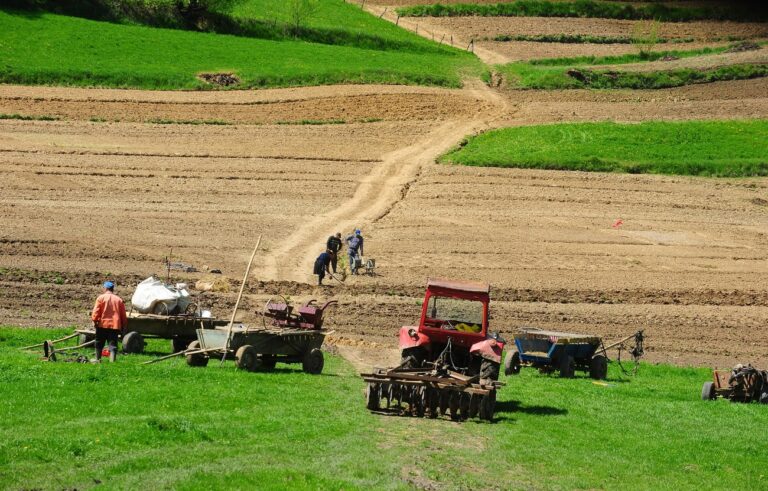 Terenurile arabile din România sunt mai scumpe ca cele din Franța! Ce prețuri sunt în Olanda, Ungaria sau Croația?