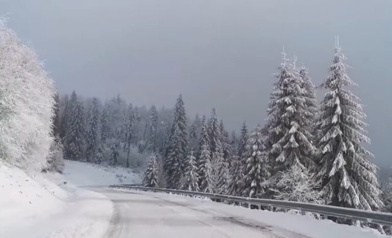 (VIDEO) A nins ca-n basme în zona de munte a Bihorului, în Apuseni: Atenție cum conduceți!