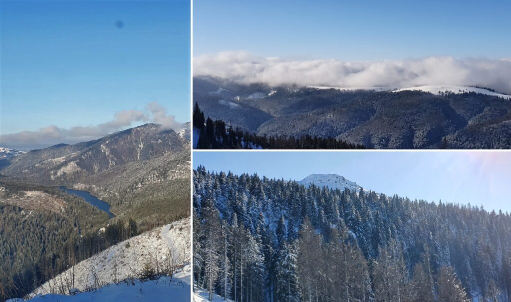 FOTO din zona Valea Drăganului, în gerar, 2022