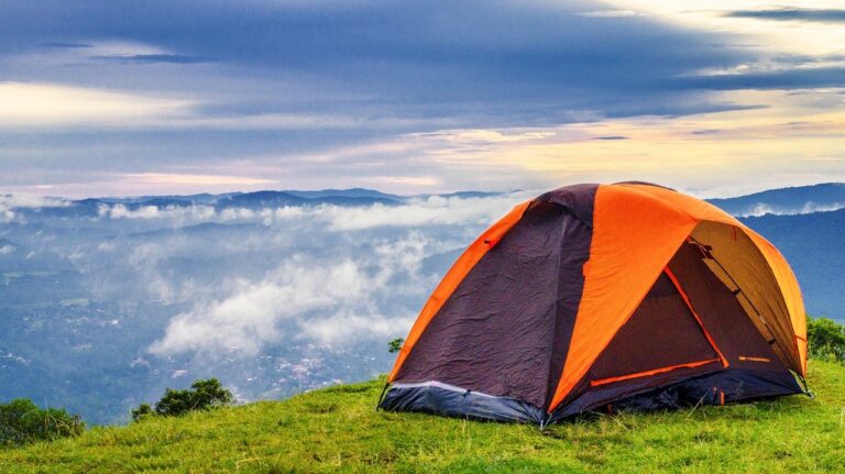 Campinguri, parcări, trasee pietonale și de mountain bike în Platoul Padiș: Ce blochează finanțarea lor?