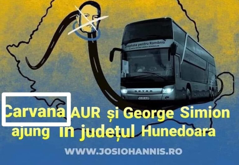 Fraților de la AUR, fiți naționaliști/patrioți și gramatical, nu doar politic. Oana Biriș, despre „car vana AUR la Deva”: „S-au fluturat, timid”