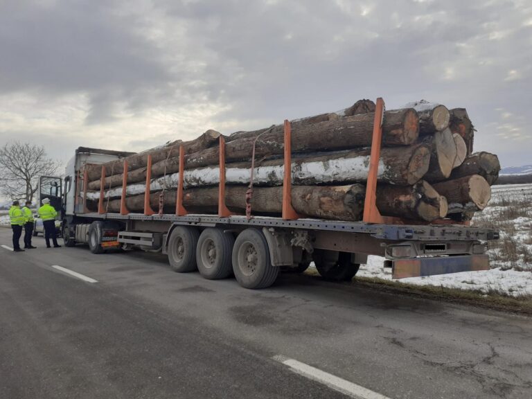 Se termină și cu RAIUL transportatorilor de lemne din Bihor, sub Ilie Bolojan: Liber la controale și la sancțiuni!