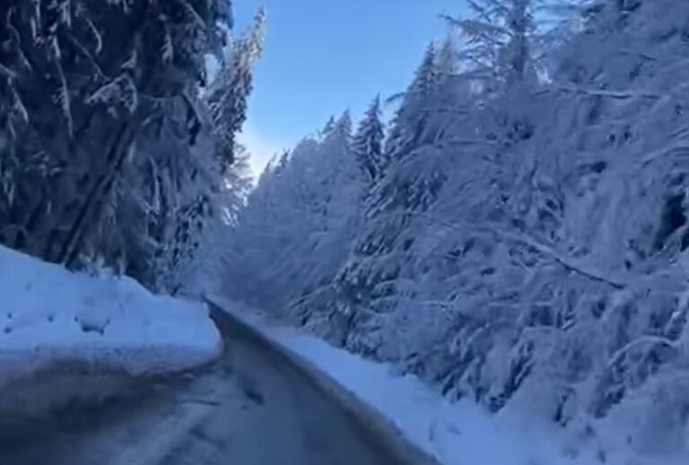 (VIDEO) Drum de poveste, în Apuseni, de la Budureasa la Stâna de Vale!