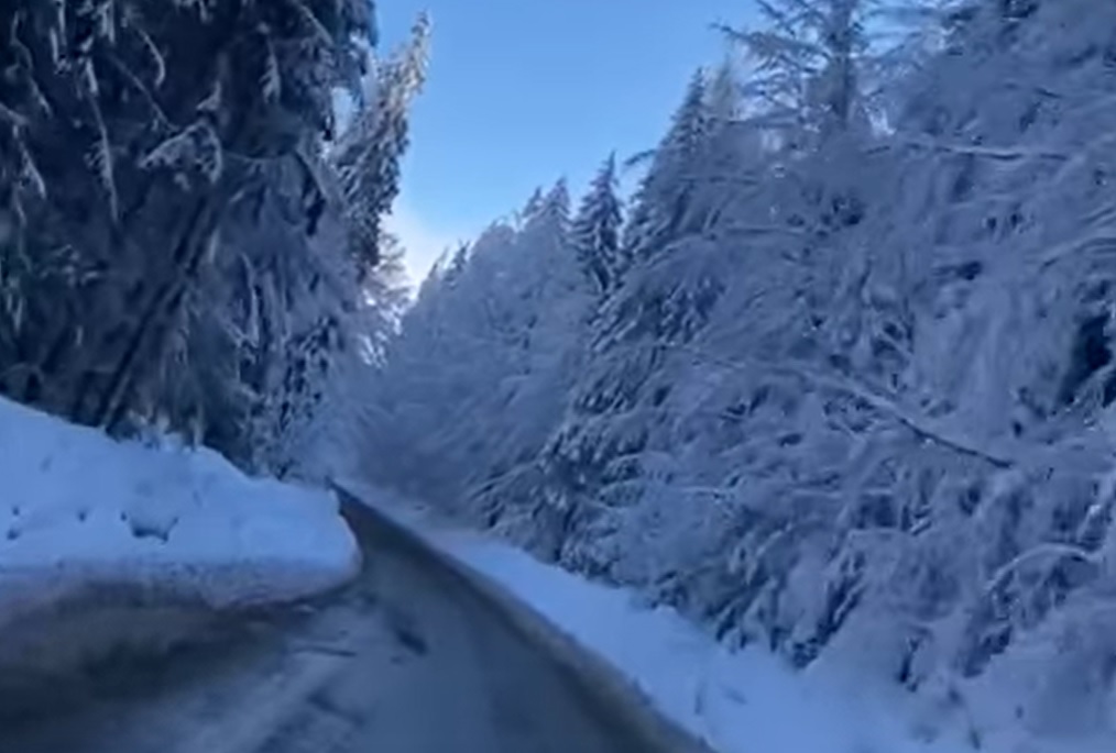 (VIDEO) Drum de poveste, în Apuseni, de la Budureasa la Stâna de Vale!