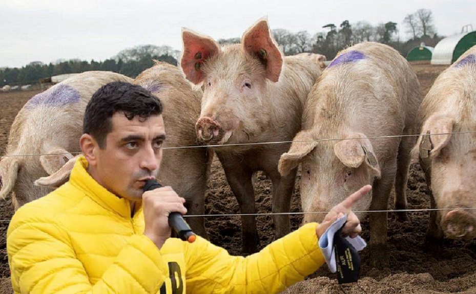 George Simion: Creşteţi porci ca până acum, nu vă limitează nimeni (…) Aveţi voie să aveţi scroafe gestante. Toate lucrurile vor fi ca până acum!